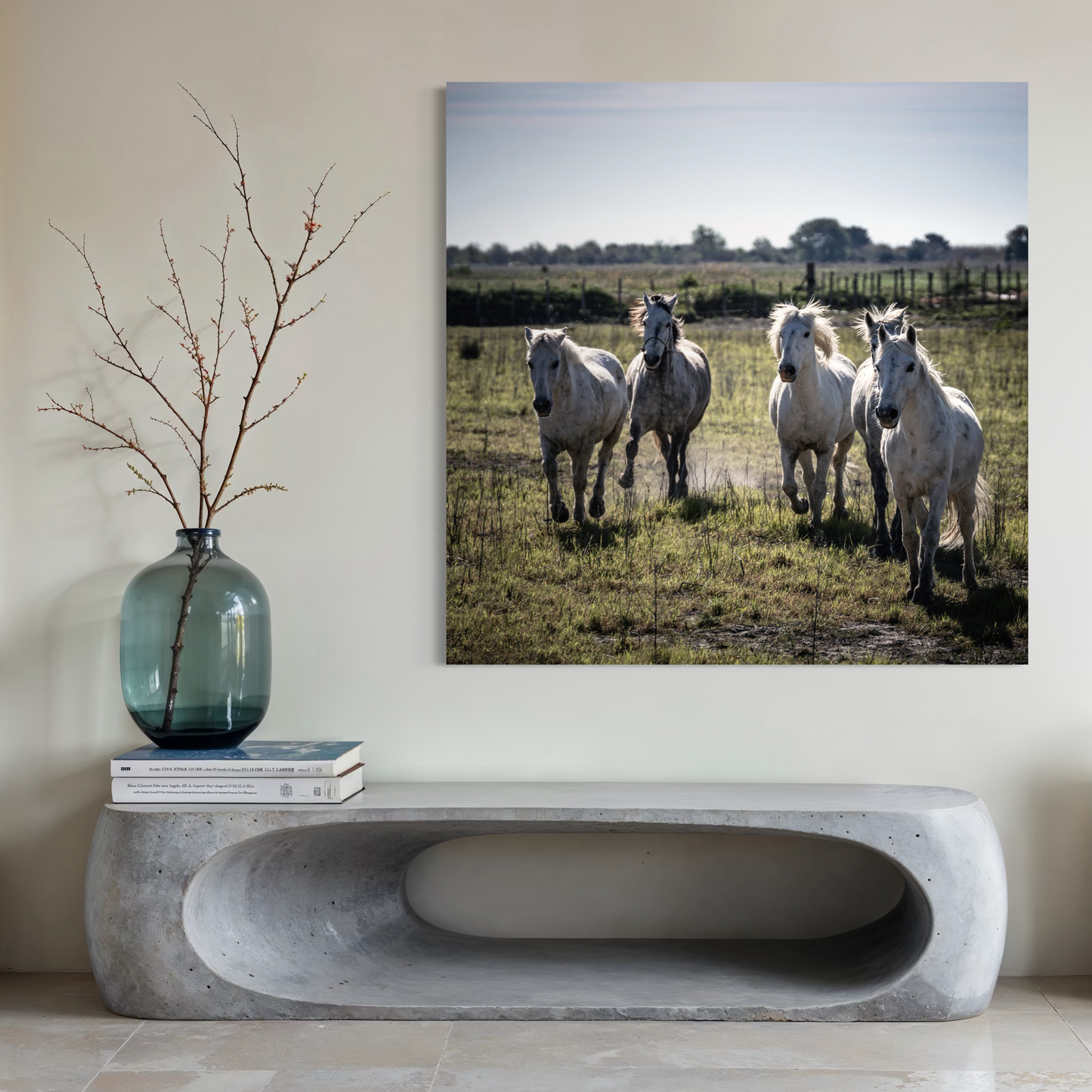SHAPES OF MEA XXL