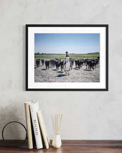 Stampa Fotografica Fine Art - CAMARGUE LIFE - Edizione Limitata