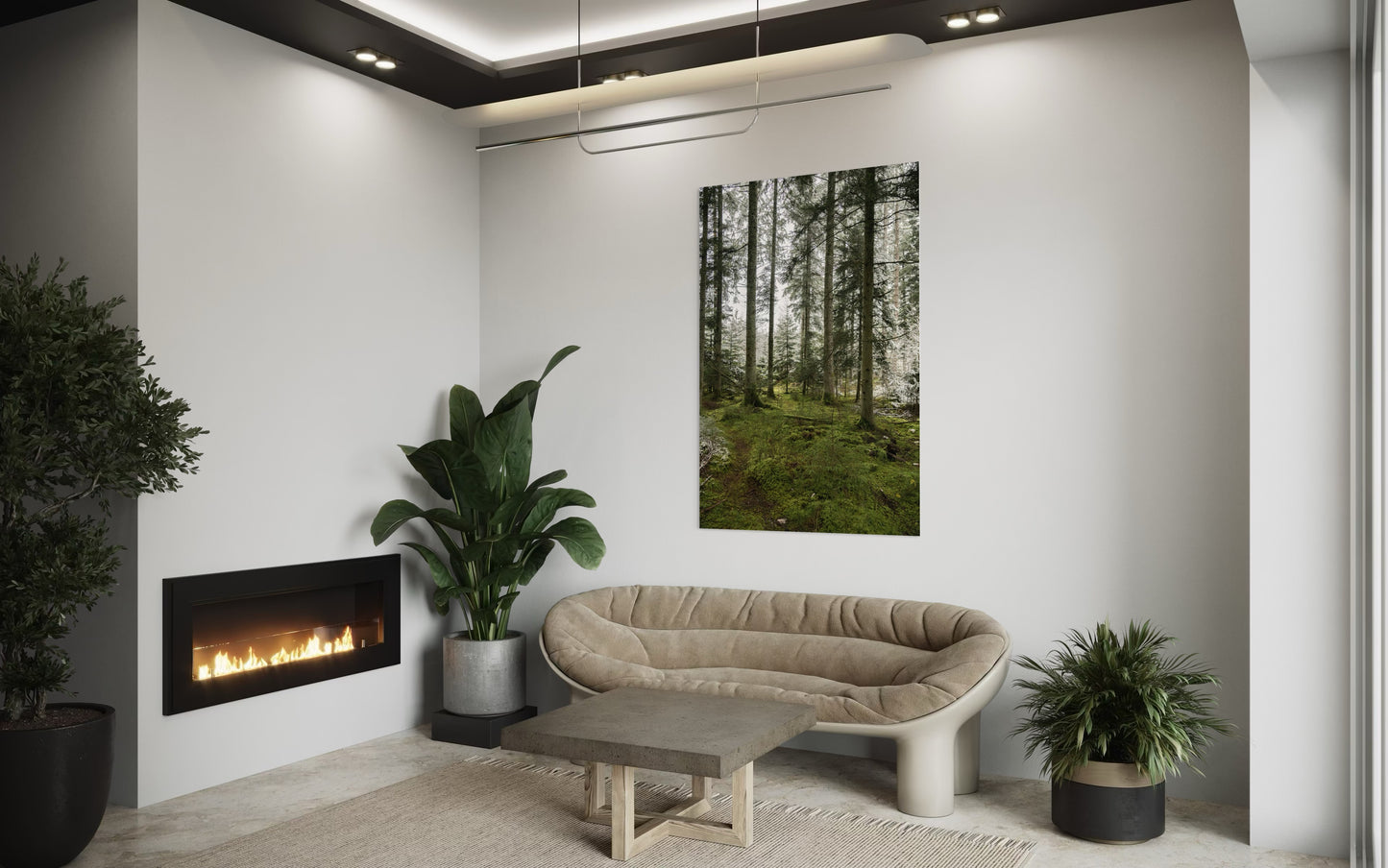 INSIDE THE FOREST XXL