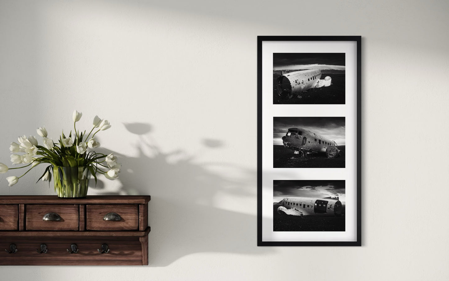 AMERICAN SURVIVOR Series Special Edition