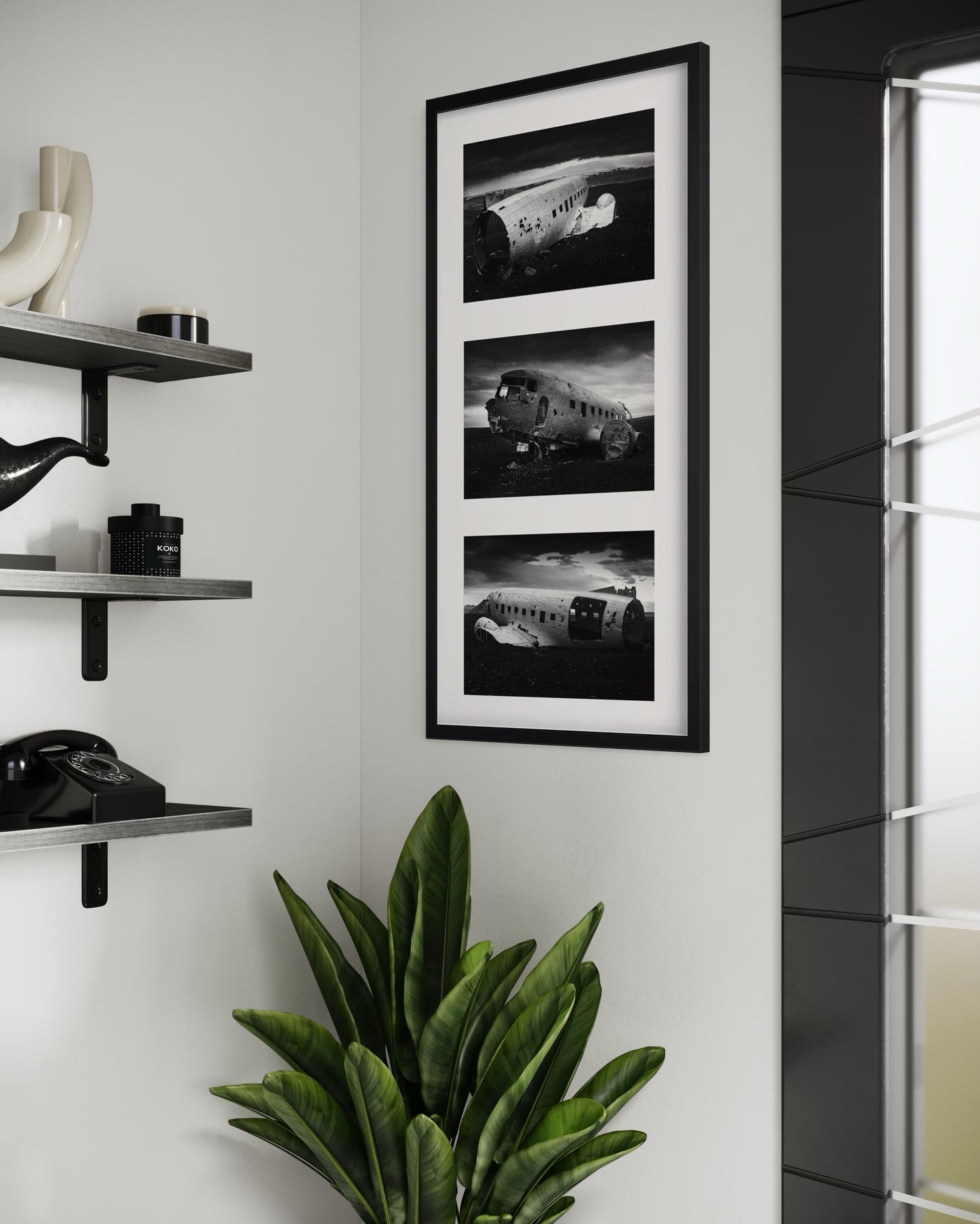 AMERICAN SURVIVOR Series Special Edition