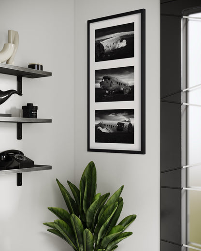 AMERICAN SURVIVOR Series Special Edition