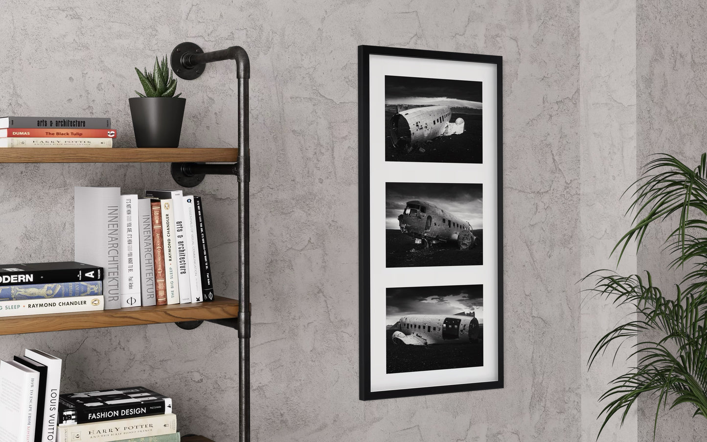 AMERICAN SURVIVOR Series Special Edition