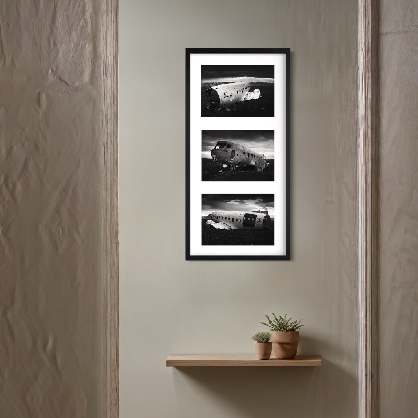 AMERICAN SURVIVOR Series Special Edition