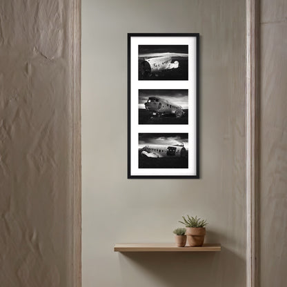 AMERICAN SURVIVOR Series Special Edition