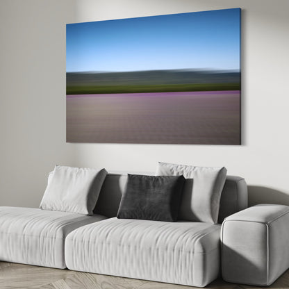 LAVANDER COLOURS XXL