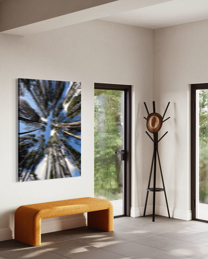 THE MISTED FOREST XXL