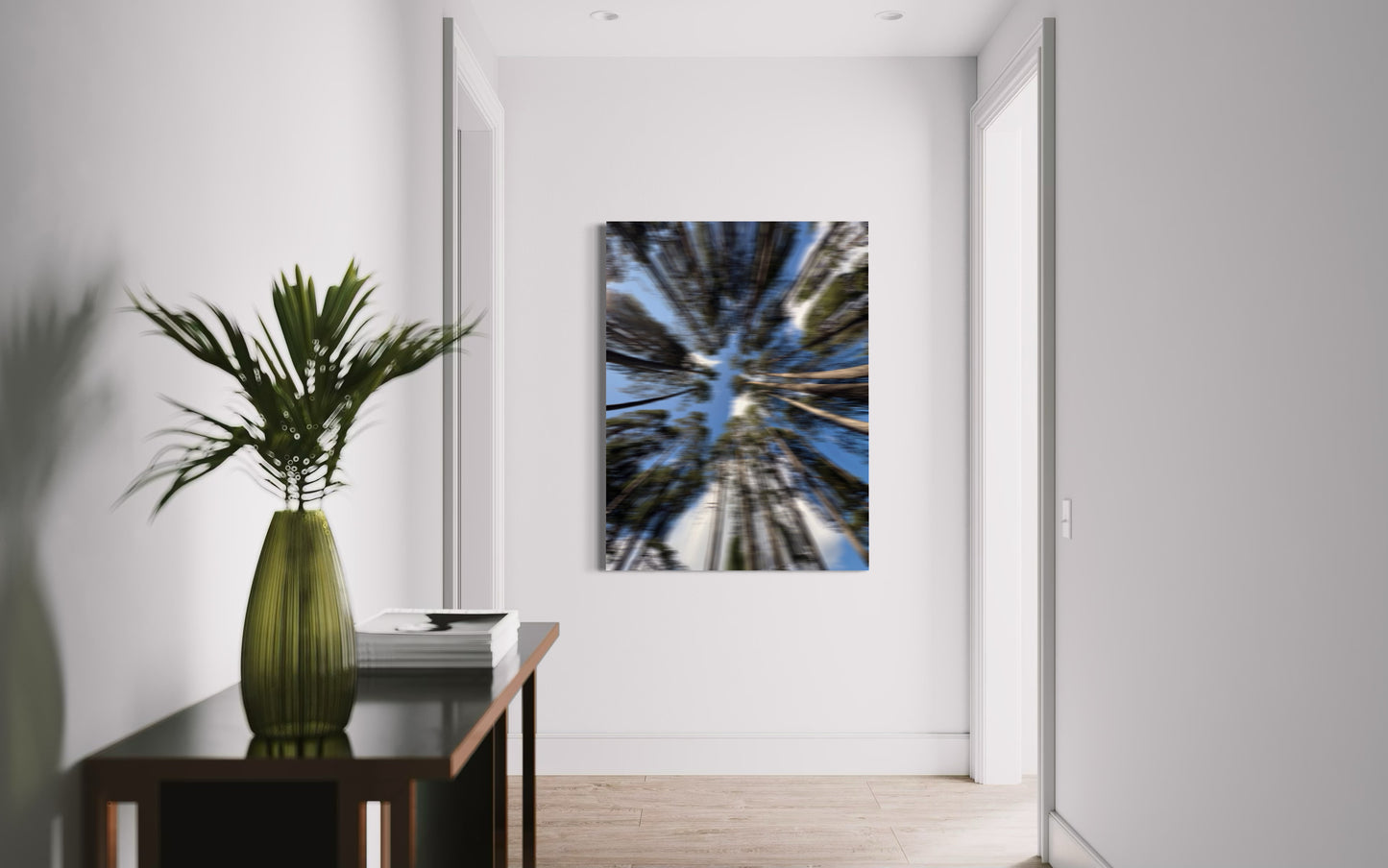 THE MISTED FOREST XXL