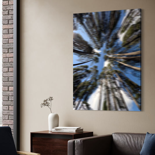 THE MISTED FOREST XXL