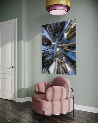 THE MISTED FOREST XXL