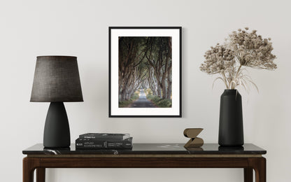 THE FANTASTIC DARK HEDGES #3