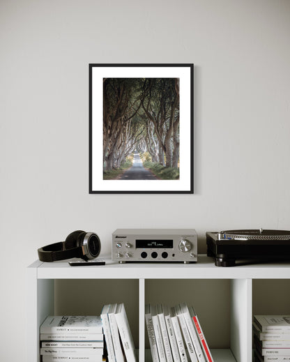 THE FANTASTIC DARK HEDGES #3