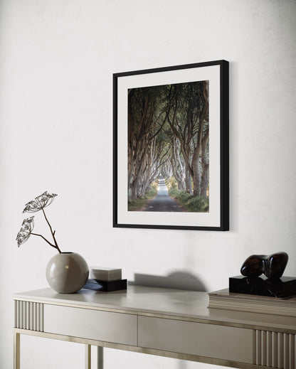 THE FANTASTIC DARK HEDGES #3