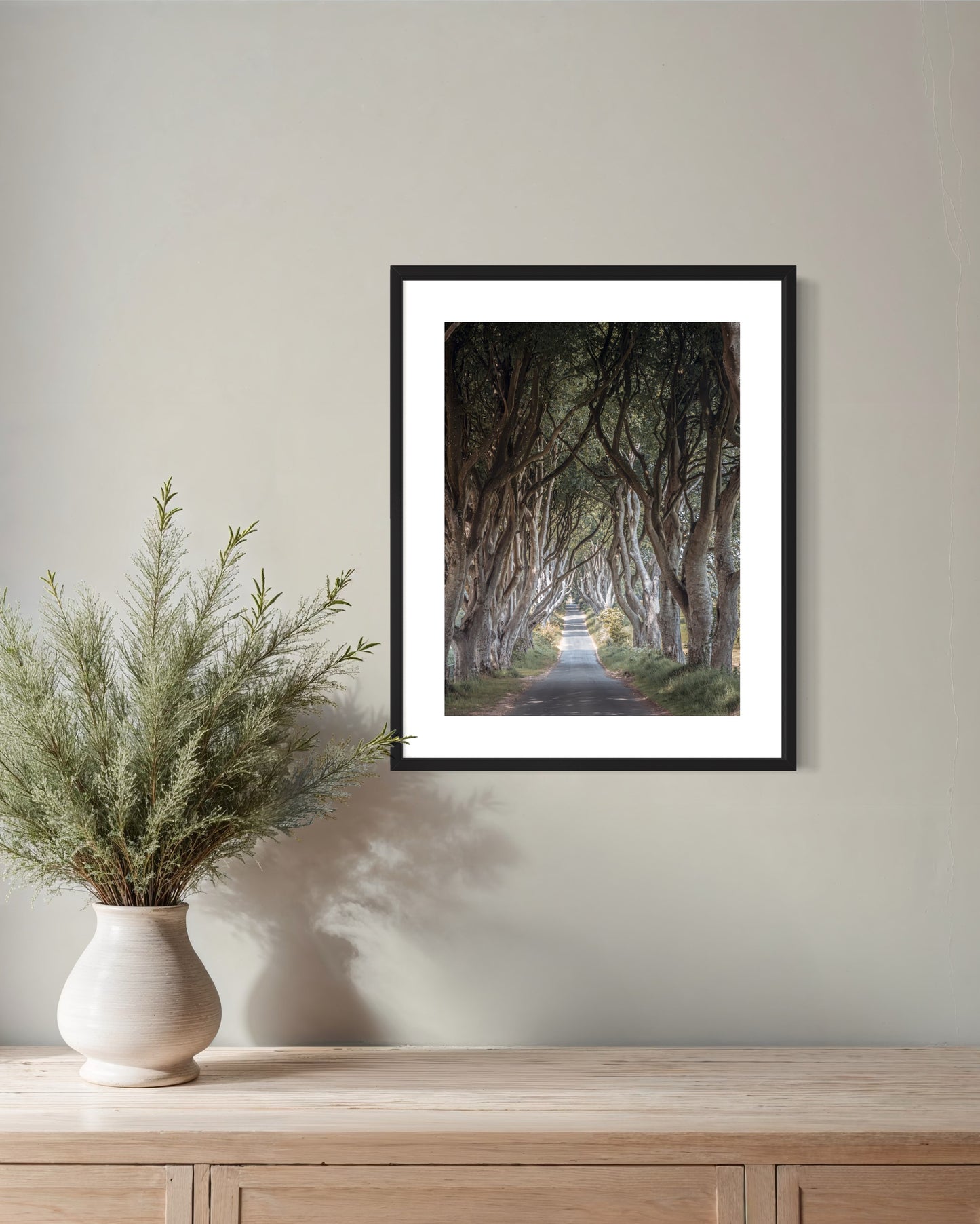 THE FANTASTIC DARK HEDGES #3