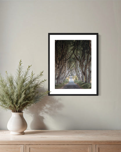 THE FANTASTIC DARK HEDGES #3