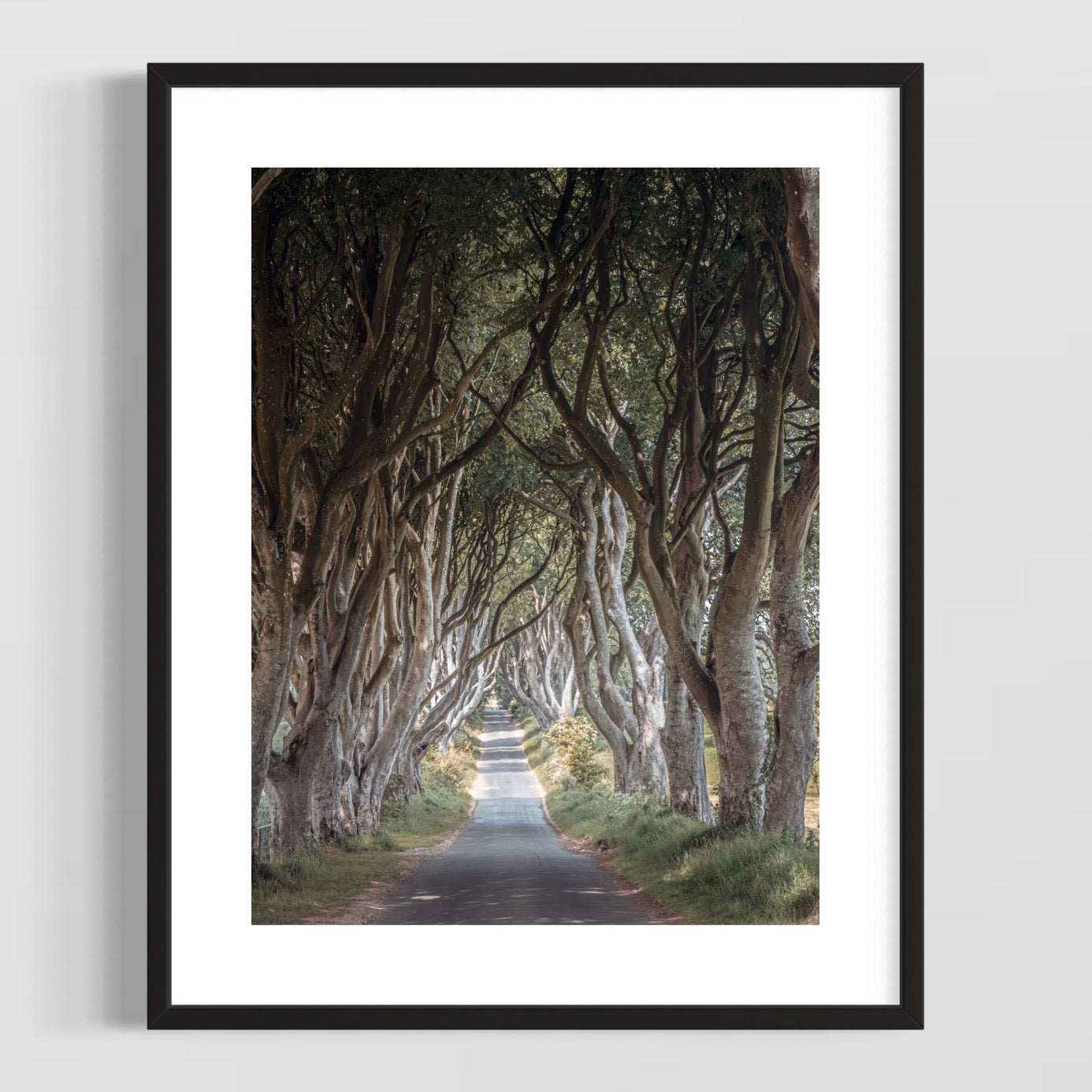 THE FANTASTIC DARK HEDGES #3