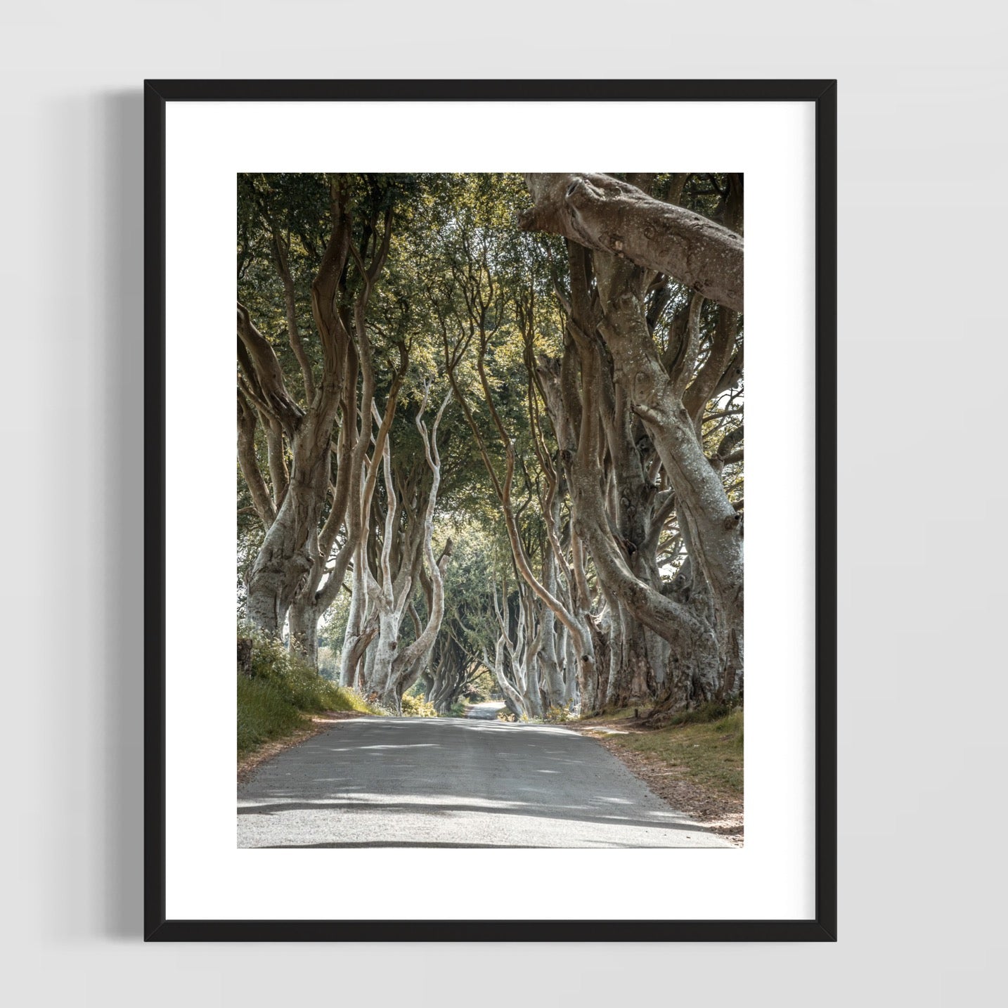 THE FANTASTIC DARK HEDGES #2