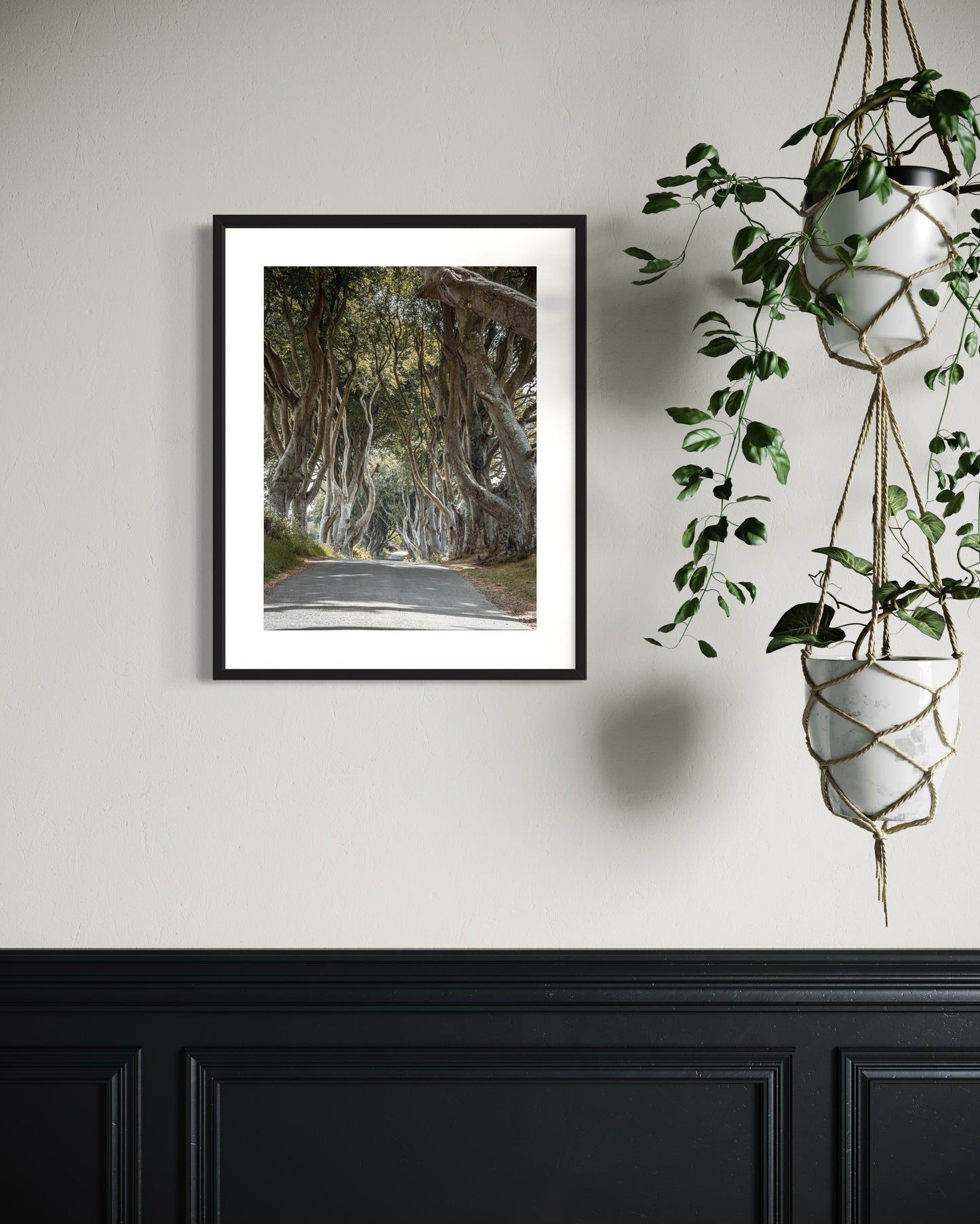 THE FANTASTIC DARK HEDGES #2