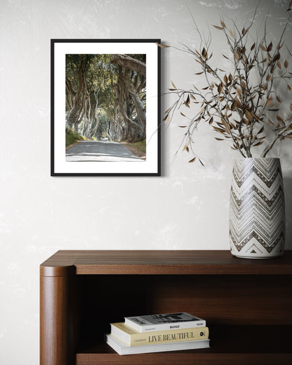 THE FANTASTIC DARK HEDGES #2