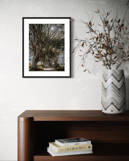 THE FANTASTIC DARK HEDGES #1