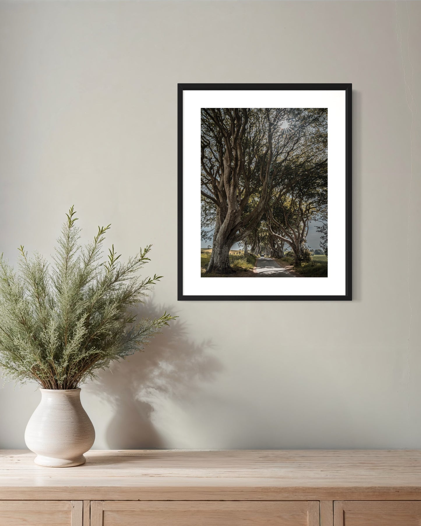 THE FANTASTIC DARK HEDGES #1