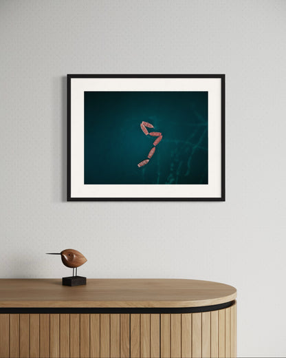 DIE VERLORENEN BOOTE