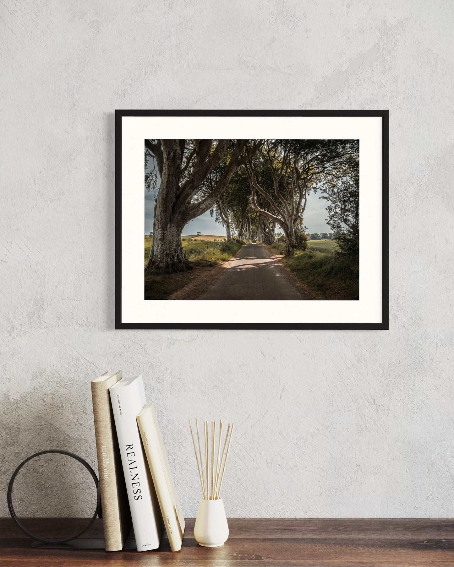 THE FANTASTIC DARK HEDGES #4