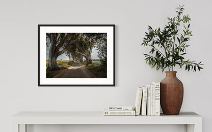 THE FANTASTIC DARK HEDGES #4