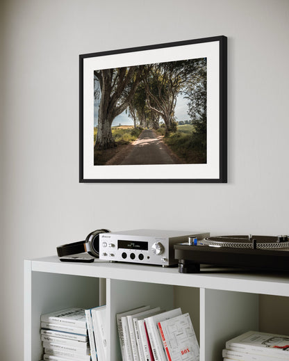 THE FANTASTIC DARK HEDGES #4