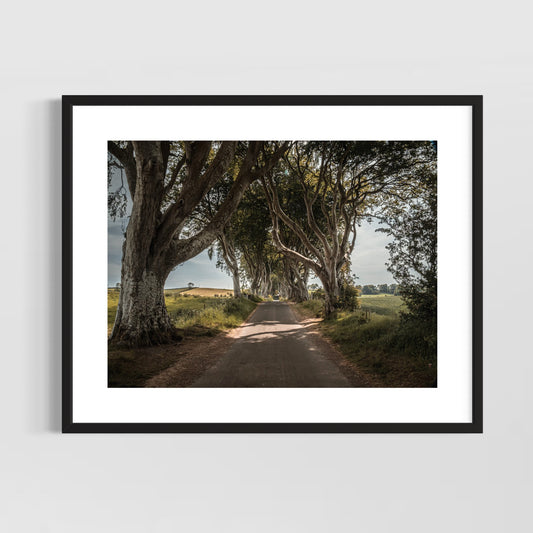 THE FANTASTIC DARK HEDGES #4