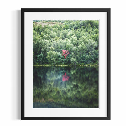 Stampa Fotografica Fine Art - A RED DROP - Edizione Limitata