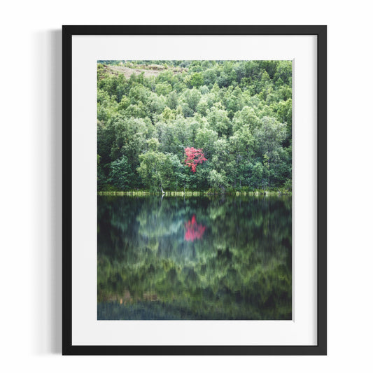 Fine Art Photographic Print - INSIDE THE TORII - Limited Edition
