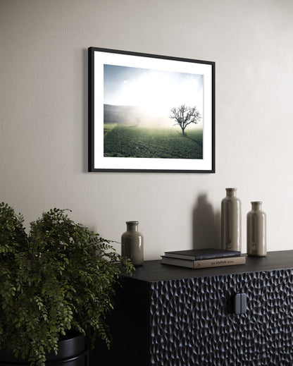 THE HILLS BEHIND THE FOG