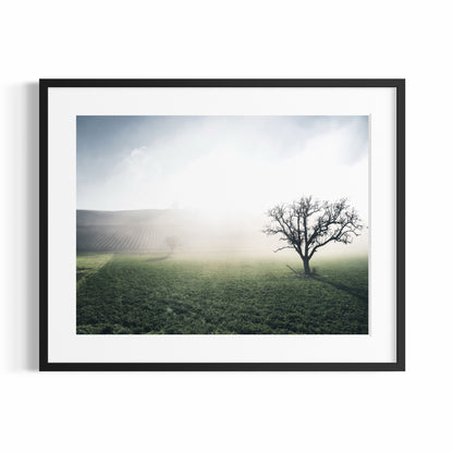 THE HILLS BEHIND THE FOG