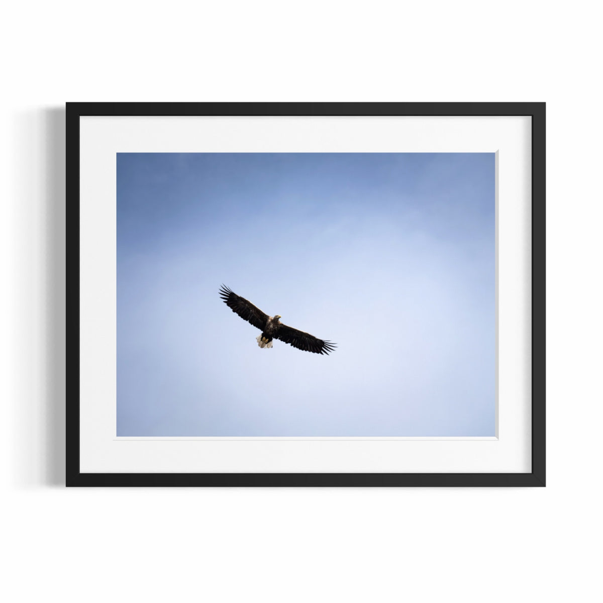 Fine Art Photographic Print - THE SPLIT GIRAFFE - Limited Edition