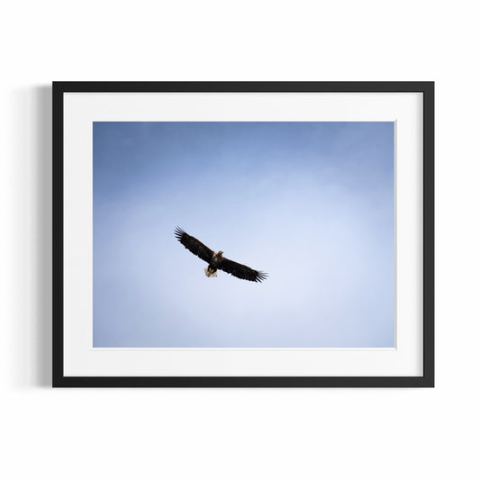 Stampa Fotografica Fine Art - THE EAGLE - Edizione Limitata