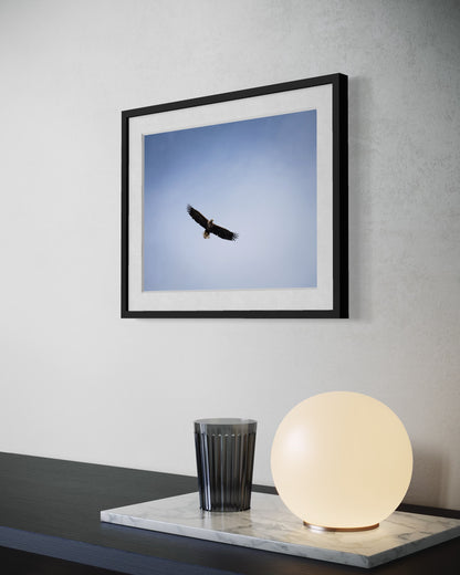 Fine Art Photographic Print - THE SPLIT GIRAFFE - Limited Edition