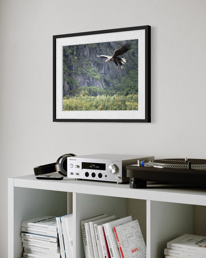 Fine Art Photographic Print - THE SPLIT GIRAFFE - Limited Edition