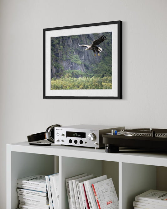 Stampa Fotografica Fine Art - THE EAGLE ATTACK - Edizione Limitata