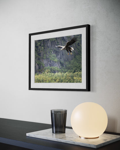Fine Art Photographic Print - THE SPLIT GIRAFFE - Limited Edition