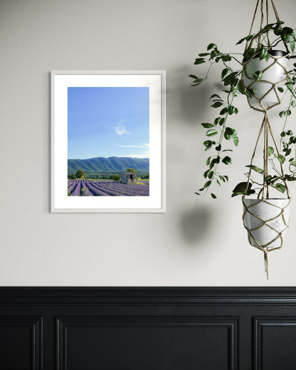 THE COLORS OF PROVENCE