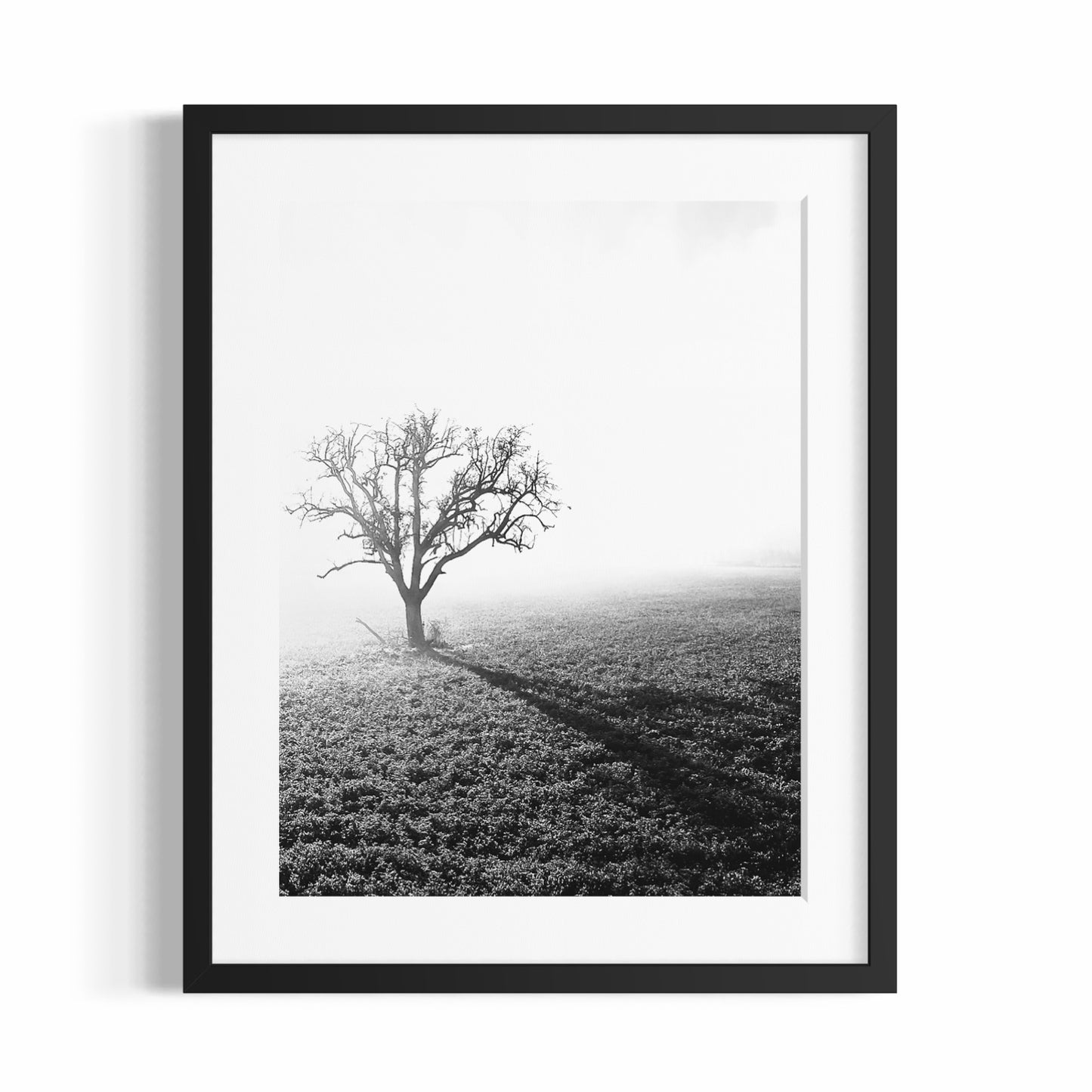 TREE IN THE FOG