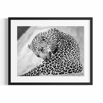 Kunstdruck – DER GROSSE LEOPARD – Limitierte Auflage