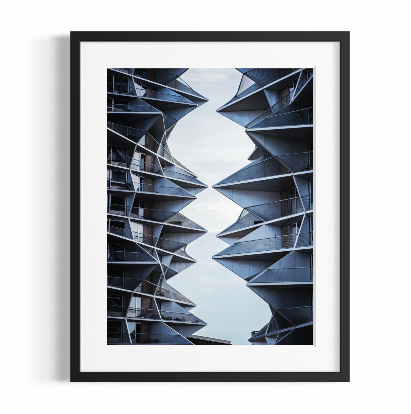 Stampa Fotografica Fine Art - THE CACTUS - Edizione Limitata