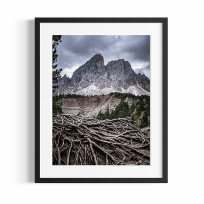 Stampa Fotografica Fine Art - ROOTS - Edizione Limitata