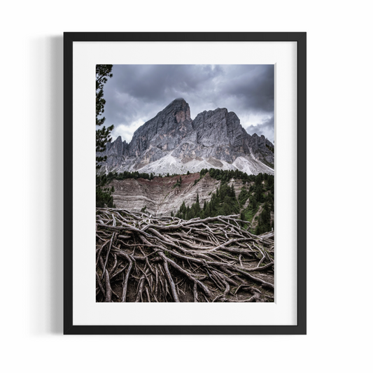 Stampa Fotografica Fine Art - ROOTS - Edizione Limitata