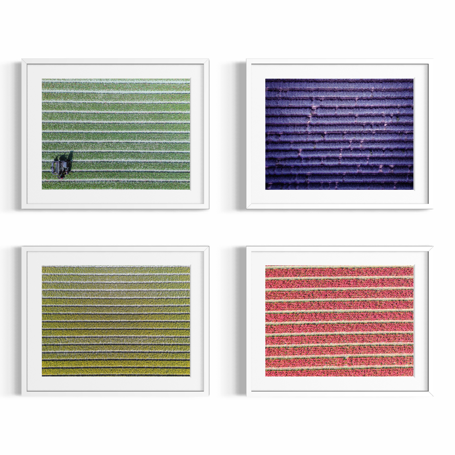 Fine Art Fotodrucke – Kultivierte Rhythmen – Limitierte Auflage