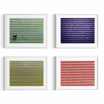 Fine Art Fotodrucke – Kultivierte Rhythmen – Limitierte Auflage