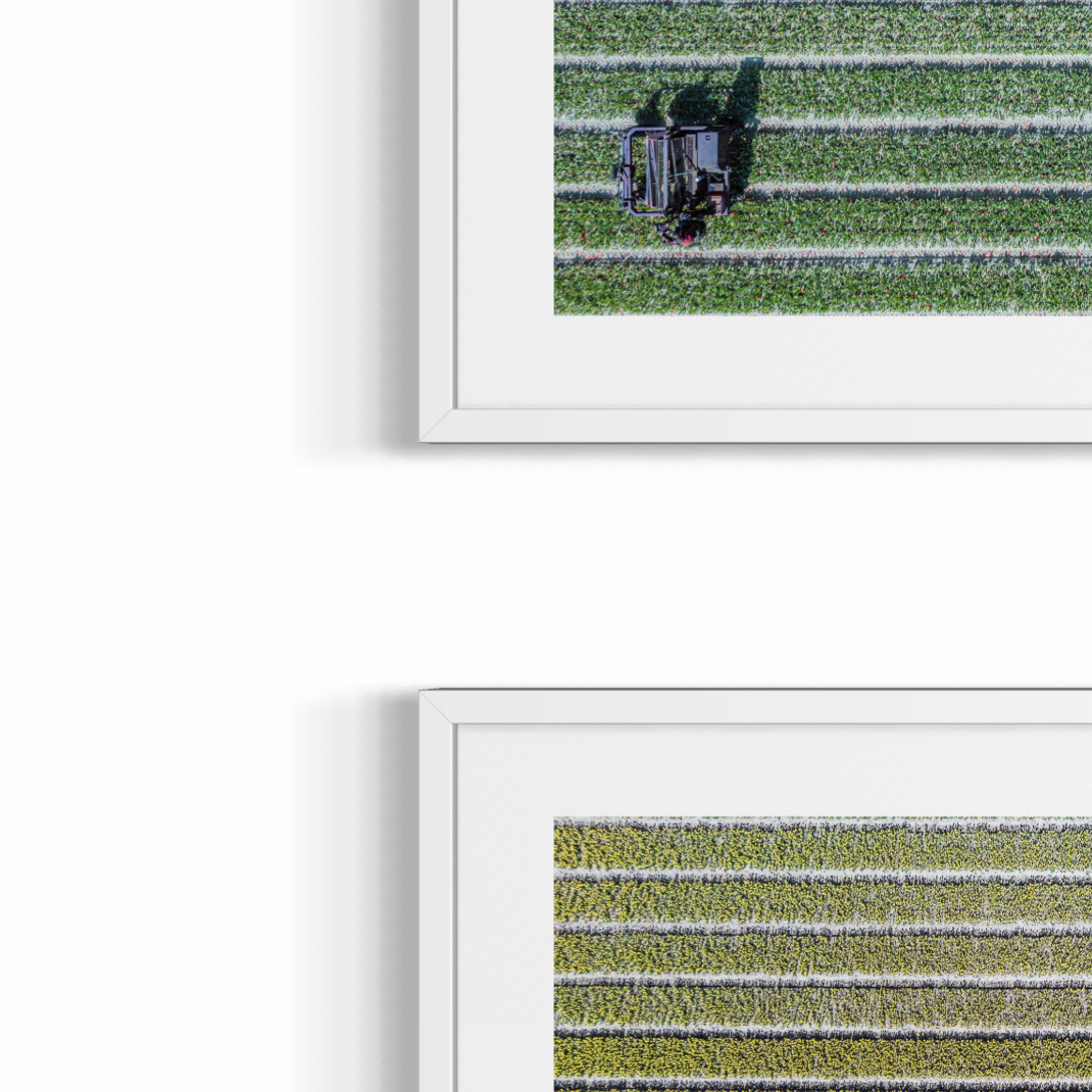 Fine Art Fotodrucke – Kultivierte Rhythmen – Limitierte Auflage