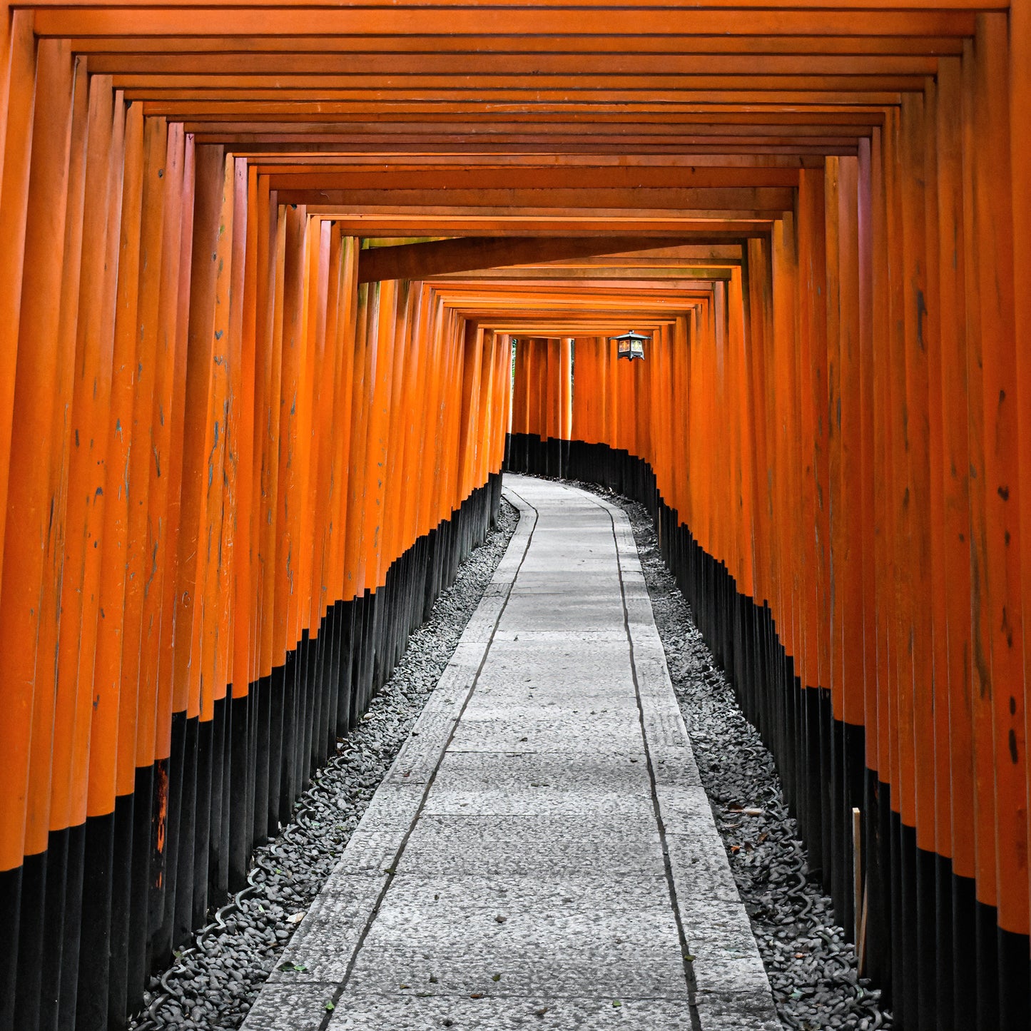 INSIDE THE TORII